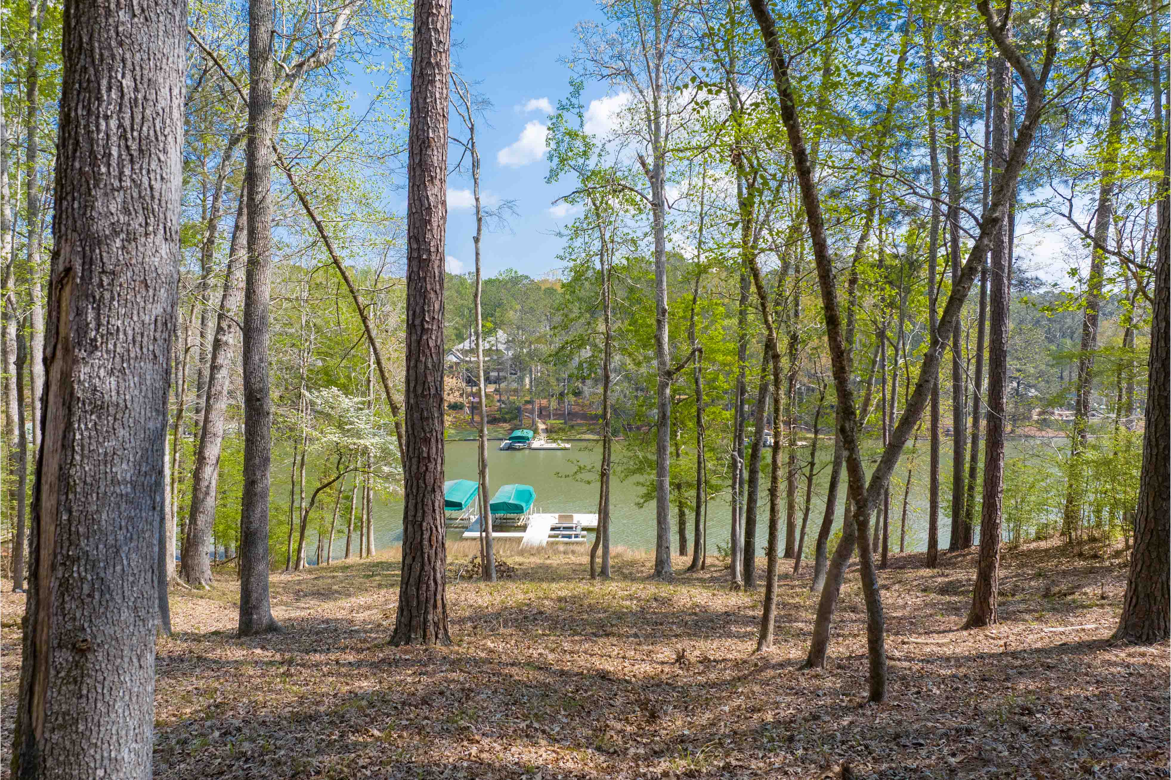 1161 Davison Drive image 8